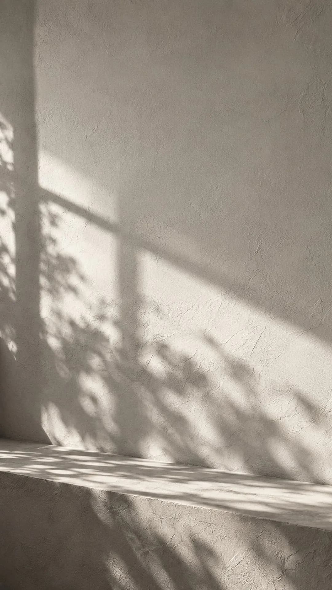 Peitoril vazio com a sombra do caixilho e da folhagem na parede